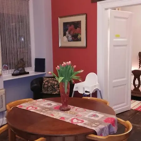 Apartament Shoe Styling *